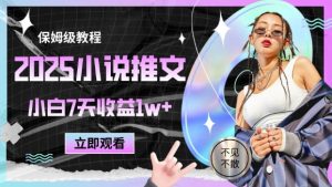 2025小说推文最新玩法，推文保姆级教程，小白7天收益1w+-淘金日记
