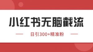 小红书只要你有同行就能获客，独家野路子获客玩法，暴力截流【揭秘】-淘金日记