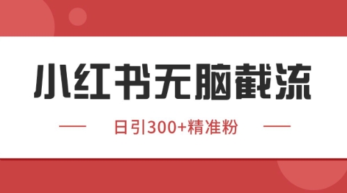 小红书只要你有同行就能获客，独家野路子获客玩法，暴力截流【揭秘】-淘金日记