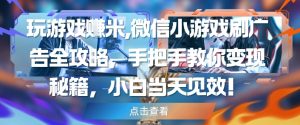 玩游戏挣米,微信小游戏刷广告全攻略,手把手教你变现秘籍,小白当天见效-淘金日记