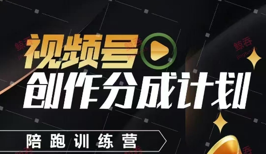 视频号创作分成计划陪跑训练营，手把手教会你如何制作视频，细水长流型项目-淘金日记