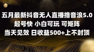2025五月最新无人直播撸音浪单日产出5张+实操教程【揭秘】-淘金日记