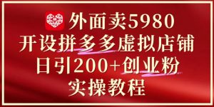 外面卖5980开设拼多多虚拟店铺：单日引流200+创业付费粉实战教程-淘金日记