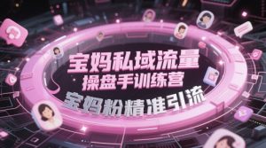 宝妈私域流量操盘手训练营,宝妈粉精准引流-淘金日记