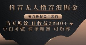 抖音无人撸音浪掘金，五月最新风口项目，当天见效，日收益多张，小白可做简单粗暴可矩阵【揭秘】-淘金日记