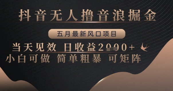 抖音无人撸音浪掘金，五月最新风口项目，当天见效，日收益多张，小白可做简单粗暴可矩阵【揭秘】-淘金日记