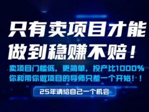 只有卖项目才能做到稳挣不赔,门槛低,更简单,你也可以年入百个W【揭秘】-淘金日记