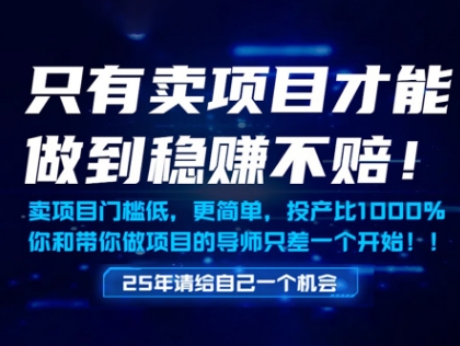 只有卖项目才能做到稳挣不赔，门槛低，更简单，你也可以年入百个W【揭秘】-淘金日记
