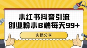 小红书抖音创业粉，小B端粉自热，日引99+的一个玩法【揭秘】-淘金日记