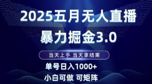 2025五月无人直播暴力掘金3.0，当天上手，当天拿结果，单号日入1k+小白可做可矩阵【揭秘】-淘金日记