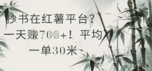 抄书在小红薯平台?平均一单30米,一天收益几张!-淘金日记