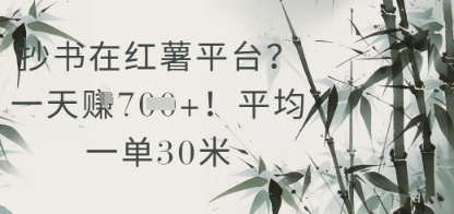 抄书在小红薯平台？平均一单30米，一天收益几张！-淘金日记