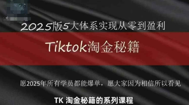 TikTok跨境2025淘金秘籍,2025TikTok从0到盈利变现-淘金日记