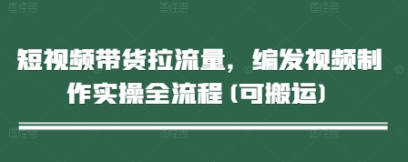短视频带货拉流量,编发视频制作实操全流程(可搬运)-淘金日记