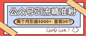 公众号精准粉引流玩法,2个月3000+精准粉,变现30个W【揭秘】-淘金日记