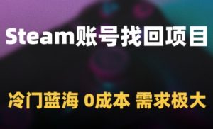 Steam账号找回项目，冷门蓝海，0成本，需求极大-淘金日记