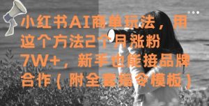 小红书AI商单玩法，用这个方法2个月涨粉7W+，新手也能接品牌合作(附全套指令模板)-淘金日记