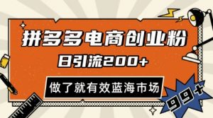 拼多多引流电商创业粉，日引200+，可矩阵放大，做了就有效【揭秘】-淘金日记