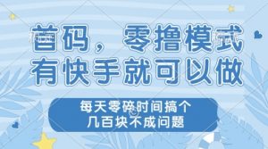 首码，零撸模式，有快手就可以做，每天零碎时间搞个几张不成问题【揭秘】-淘金日记