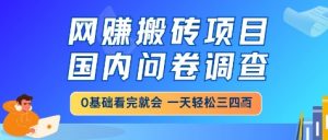 网创搬砖项目,国内问卷调查,小白轻松上手,一天三四张的也不难,干就完了【揭秘】-淘金日记