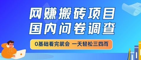 网创搬砖项目,国内问卷调查,小白轻松上手,一天三四张的也不难,干就完了【揭秘】-淘金日记