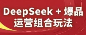DeepSeek+爆品运营组合玩法，2025淘系精品课-淘金日记
