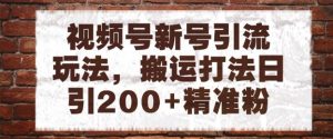 视频号新号引流玩法,搬运打法日引200+精准粉,可矩阵放大【揭秘】-淘金日记