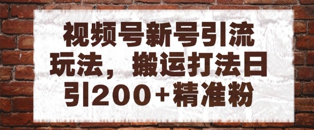 视频号新号引流玩法,搬运打法日引200+精准粉,可矩阵放大【揭秘】-淘金日记