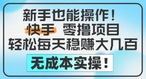 新手也能操作,快手零撸挣米,轻松每天挣2-5张,完全无成本-淘金日记