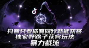 抖音只要你有同行就能获客，独家野路子获客玩法，暴力截流【揭秘】-淘金日记