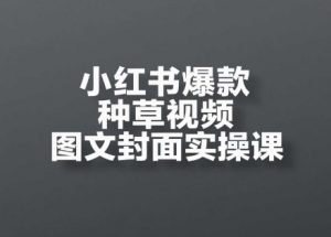 小红书爆款种草视频图文封面实操课,开店、选品、引流、变现全流程-淘金日记
