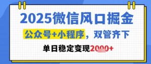 2025微信风口掘金,公众号+小程序双管齐下,单日稳定变现1k+【揭秘】-淘金日记