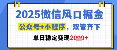 2025微信风口掘金,公众号+小程序双管齐下,单日稳定变现1k+【揭秘】-淘金日记