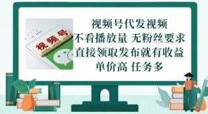 视频号代发视频,无需做视频,无需写文案,不看播放量,无粉丝要求,直接领取发布就有收益【揭秘】-淘金日记