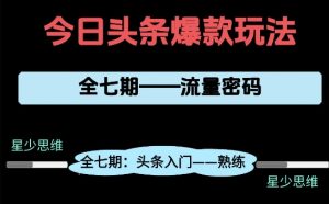 头条系列全七期项目拆解，全是干货，新手从0-1必经过程，99的人会踩的坑-淘金日记