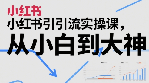 小红书引流实操课,从小白到大神-淘金日记