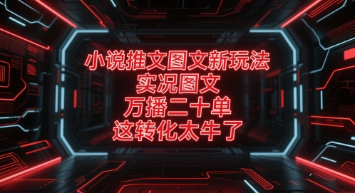 小说推文图文新玩法,实况图文,万播二十单,这转化太牛了!-淘金日记