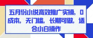 五月份小说高效推广实操，0成本，无门槛，长期可做，适合小白操作-淘金日记