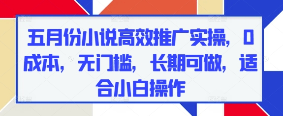 五月份小说高效推广实操，0成本，无门槛，长期可做，适合小白操作-淘金日记