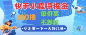 快手小程序掘金，纯0撸，单价高不养机 利用空闲时间做一做，一天好几张【揭秘】-淘金日记