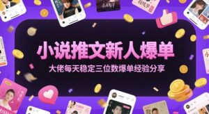 小说推文新人爆单大佬每天稳定三位数爆单经验分享-淘金日记