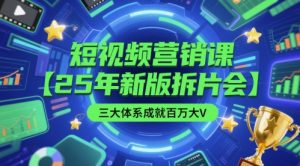 短视频营销课【25年新版拆片会】三大体系成就百万大V,包含正课、拆片会、手把手教学直播课等-淘金日记