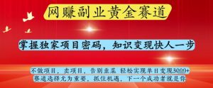 网创副业黄全赛道,掌握独家项目密码,知识变现快人一步,告别韭菜轻松实现单日变现1k+【揭秘】-淘金日记