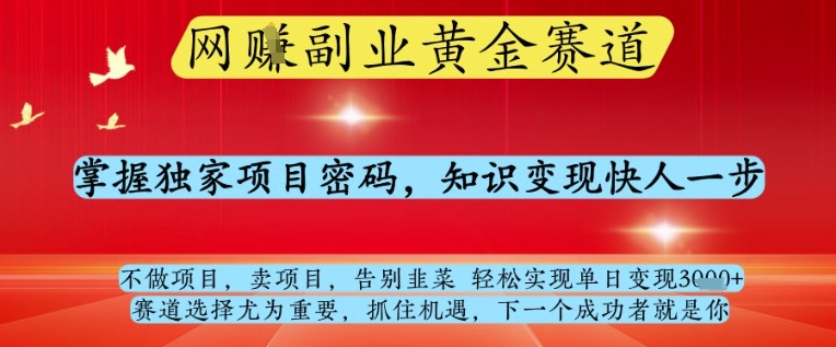 网创副业黄全赛道,掌握独家项目密码,知识变现快人一步,告别韭菜轻松实现单日变现1k+【揭秘】-淘金日记