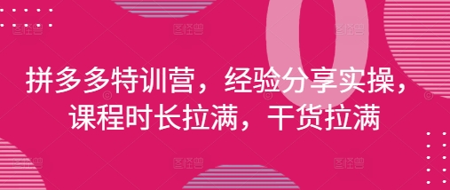 拼多多特训营,经验分享实操,课程时长拉满,干货拉满(更新25年4月)-淘金日记