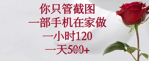 你只管截图,一部手机在家可以做,一小时120.一天5张+【揭秘】-淘金日记