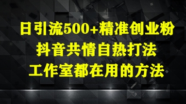 日引流500+精准创业粉,抖音共情自热打法,工作室都在用的方法-淘金日记