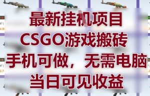 最新挂G项目，CSGO游戏搬砖，手机可做，无需电脑，当日见收益【揭秘】-淘金日记