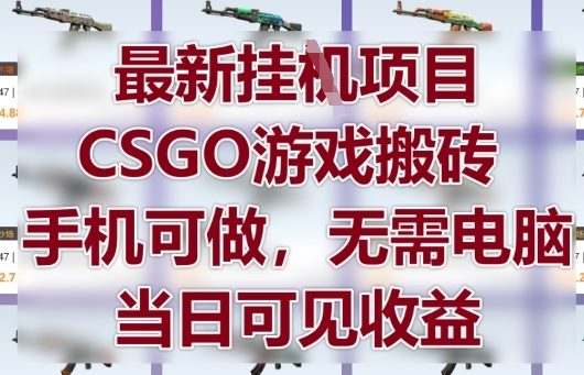 最新挂G项目，CSGO游戏搬砖，手机可做，无需电脑，当日见收益【揭秘】-淘金日记