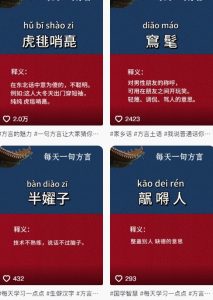 抖音最新涨粉玩法，图文方言暴力涨粉实操，126作品涨粉11W-淘金日记